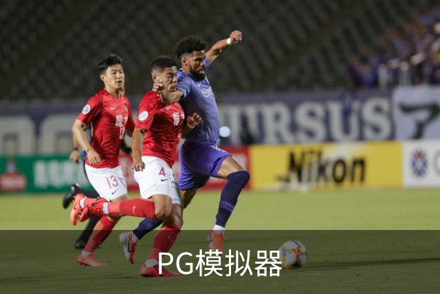 PG模拟器公司环境